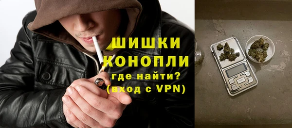 гидра Богородск