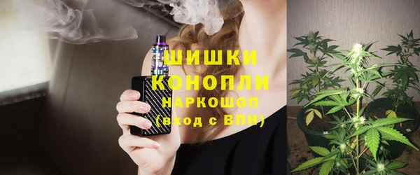гидра Богородск