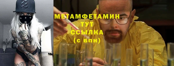 гидра Богородск
