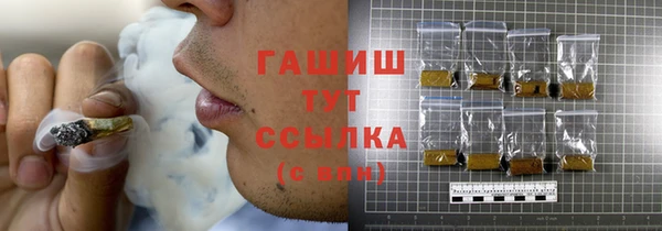 гидра Богородск
