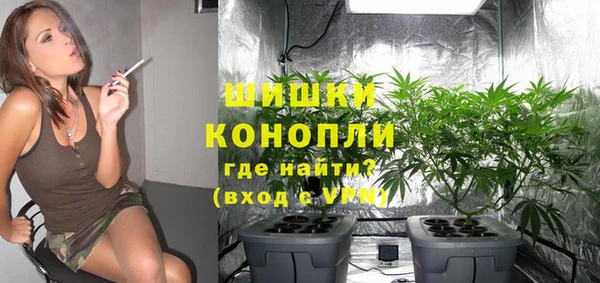PSILOCYBIN Белокуриха