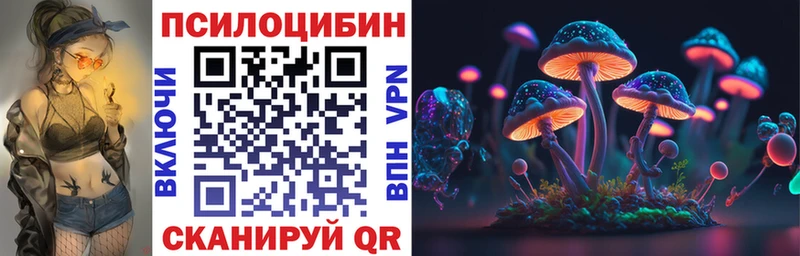 kraken как зайти  Буинск  Галлюциногенные грибы GOLDEN TEACHER 